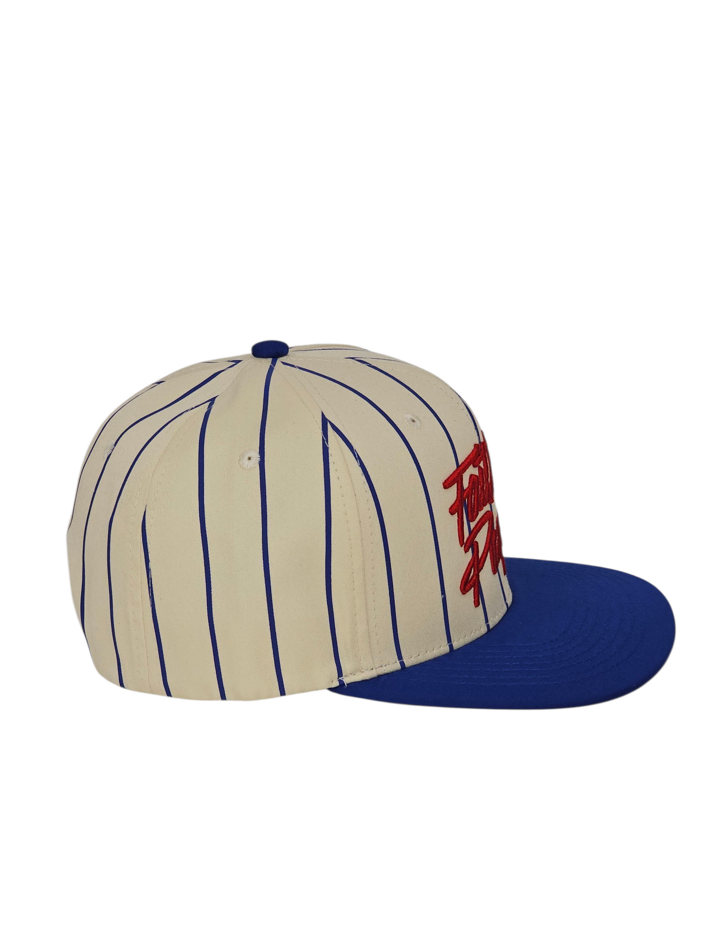 Faith On Purpose Pinstripe Snapback