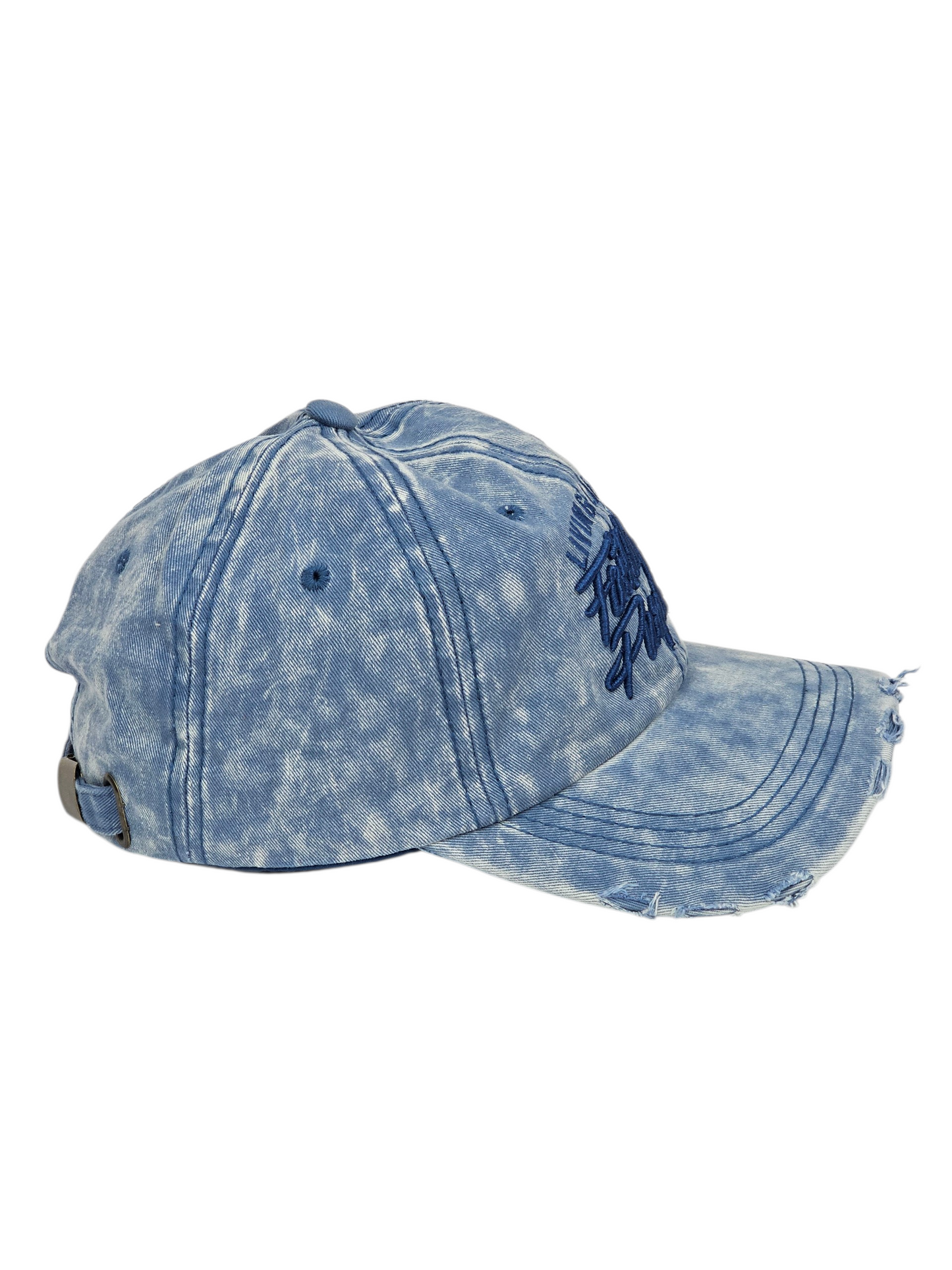 Living By Faith On Purpose Baseball Cap | Light Denim & Blue