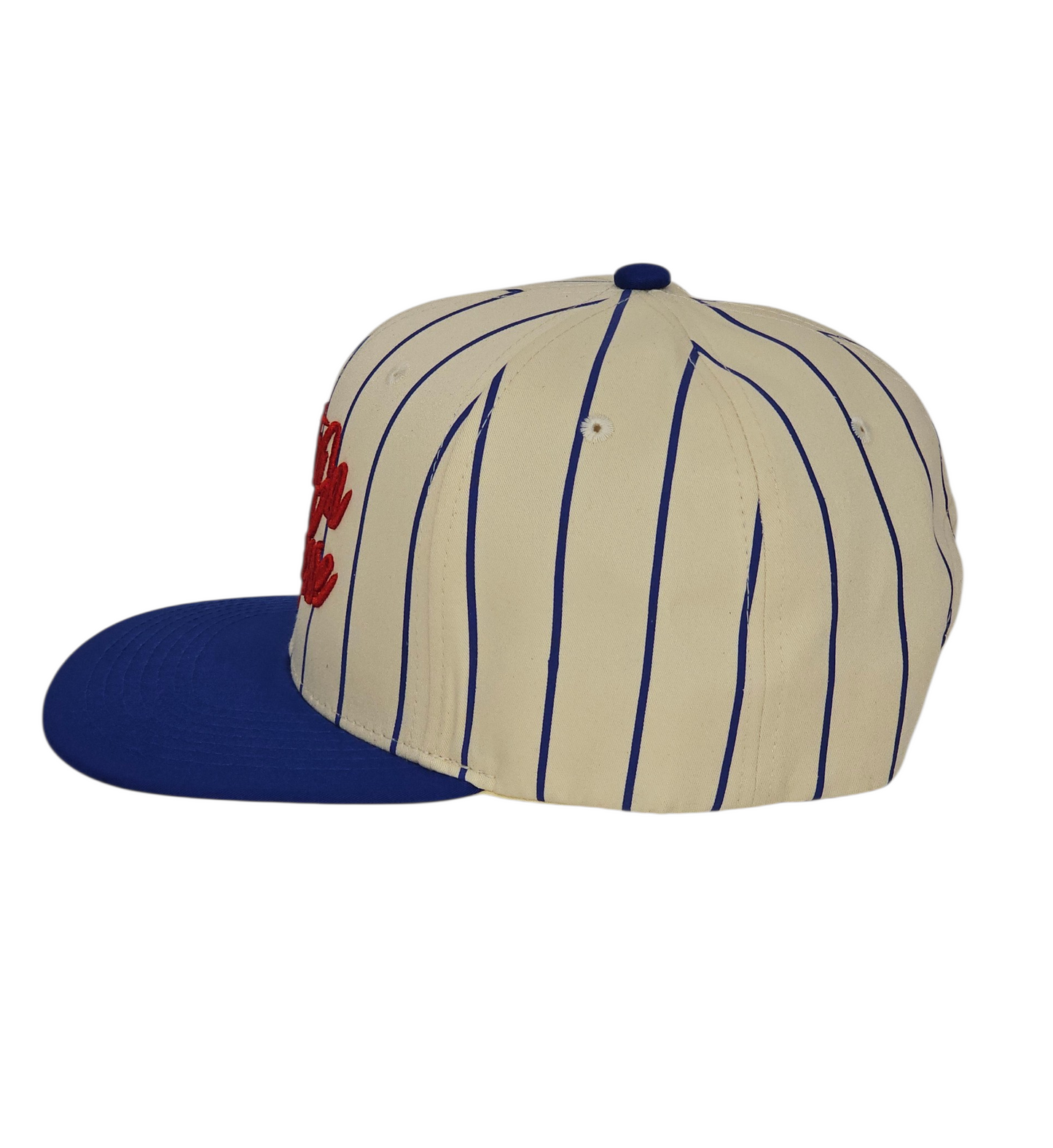 Faith On Purpose Pinstripe Snapback