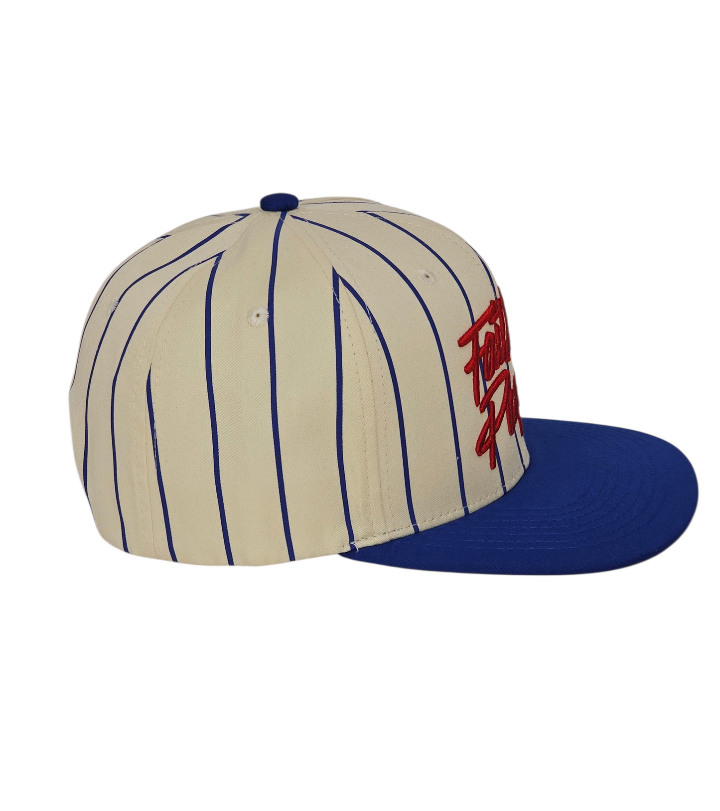 Faith On Purpose Pinstripe Snapback